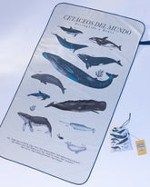 Toalla de microfibra Diving Life X Bohío (doble faz) 2025