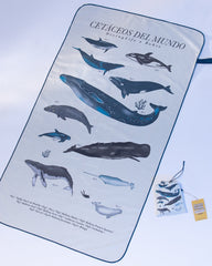 Toalla de microfibra Diving Life X Bohío (doble faz) 2025